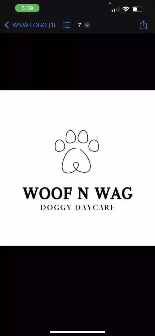 Woof and Wag is a place that feels like home for Theo! The W&W team ensure the place is always spotless, safe, engaging and