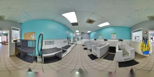 Great service once there, but more than once my appointment didn"t show up