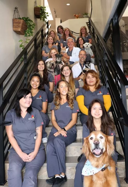 Had a such a pleasant experience with the care of our dog. The facility was nice and clean and staff were friendly