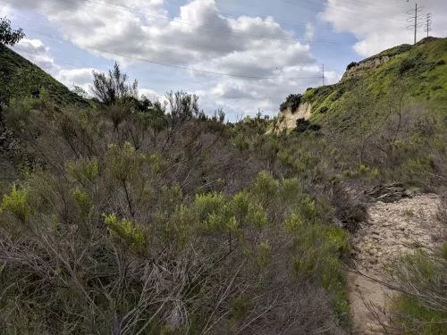Really enjoyed this little hike out there, don’t get me wrong it’s nothing crazy there isn’t like an amazing mountain top