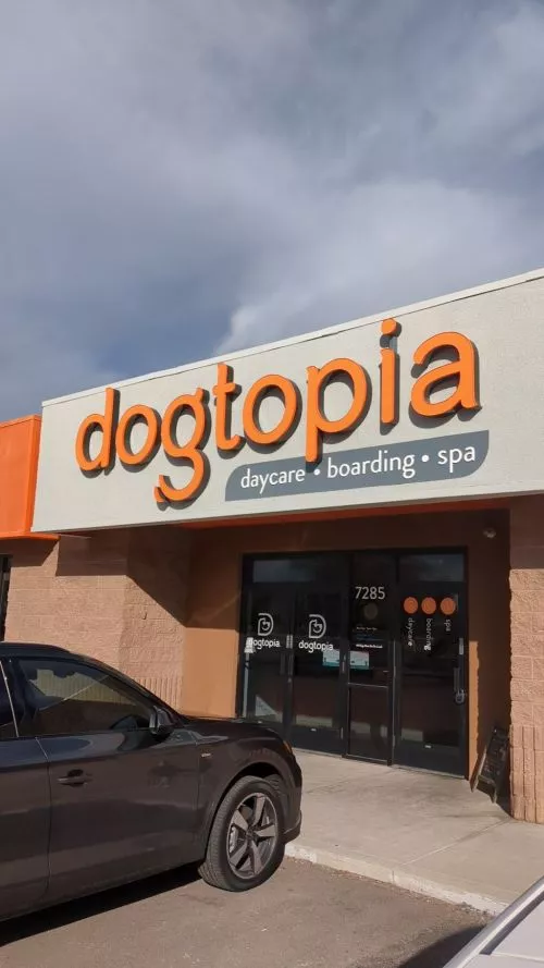 Highly recommended. My Sterling loves his twice a week play dates and comes home exhausted
