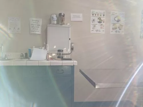 I love how the doc is always straight to the point. No dodging questions with vague answers
