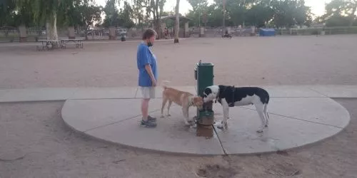 I like that the park is split, big dogs (+30 lbs) to the left and little dogs (-30 lbs) to the right