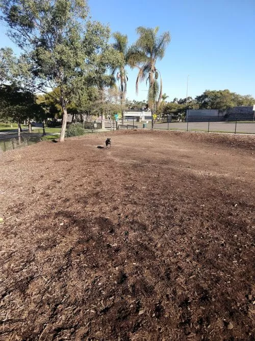 Nice neighborhood dog park. It’s one big space, not separated by size