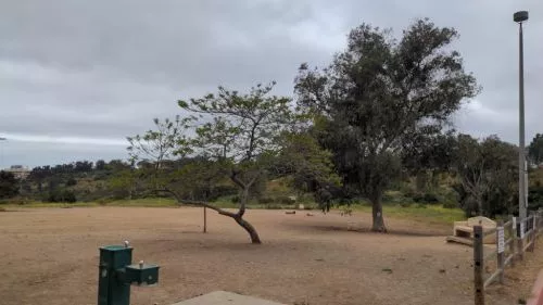 My dog and I like Grape St and Fiesta Island more but Morley is better than most parks in San Diego