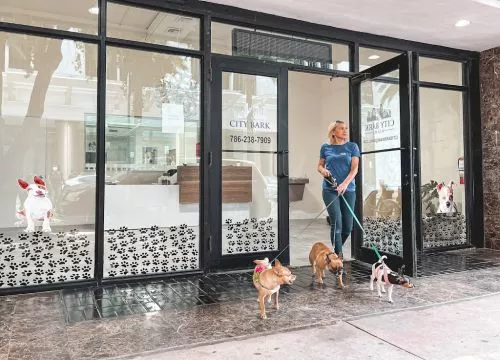 I’ve lived in multiple big cities (NYC, DC and Miami) and City Bark has hands down provided the best care for my Pomeranian