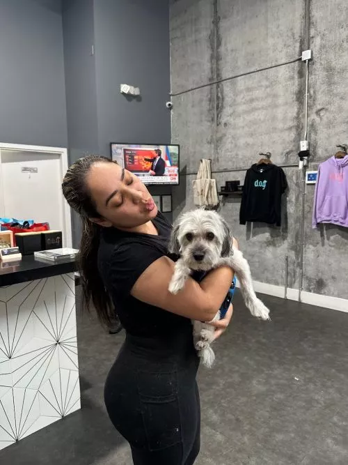 Excellent, Excellent care with the DOG Hotel Brickell. Amanda and the ladies give Excellent care and attention to my pup