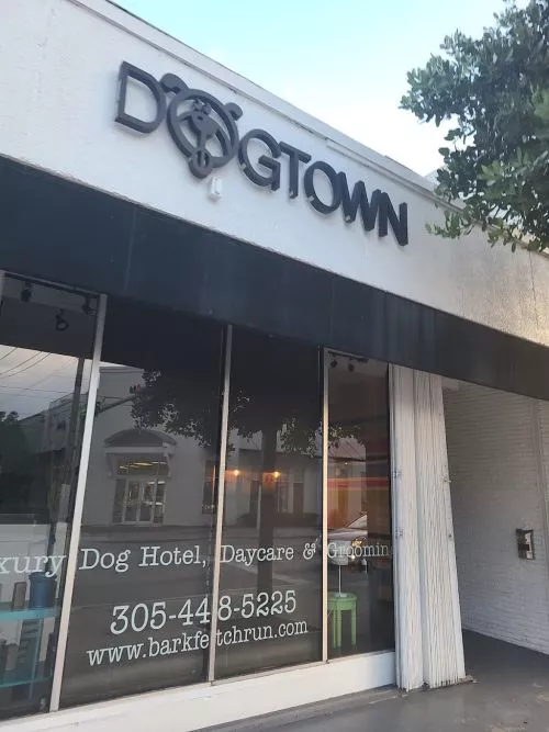 Absolutely the worst. DO NOT take your pet here. We took our puppy for light grooming and he left seriously injured