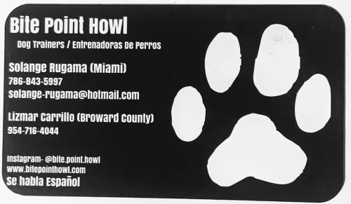 This trainer does amazing work! I have no regrets when it comes to taking their training advice! Highly recommend them!