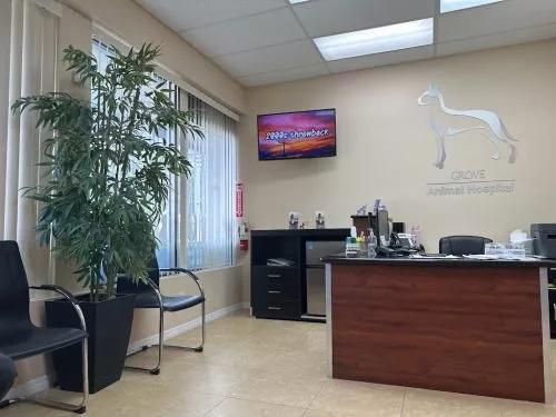 We are the happy guardians of 2 dogs and 3 cats, and they all are cared for by Dr. Prats and their amazing team