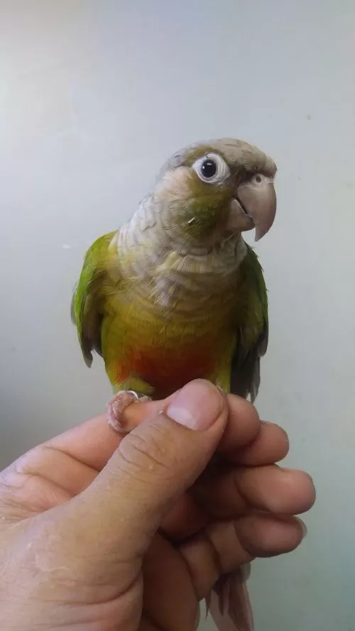Ortuno is the owner of this boutique he not only loves animals but he also has knowledge about any abnormalities your pet
